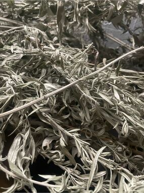 Dried Untreated White Sage - Organic Grown - Natural Gray-Green